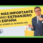 Guía completa: Qué hacer con el NIE en España