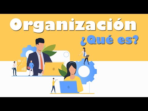 3 formas de organización administrativa: ¡Descubre cuál es la mejor!