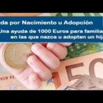 Solicitar ayuda de 1000 € de la Seguridad Social: Guía paso a paso